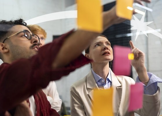 Interbridge Categorias Administracion - Interbridge